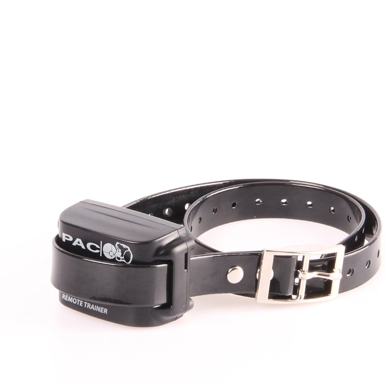 PAC BUZZ Medium/Large Dog Training Collar - Image 3