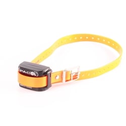 PAC Medium/Large Dog Training Collar | EXC7