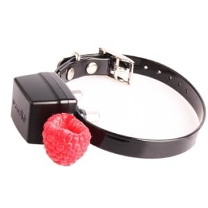 PAC Fence Mini/SM Collar | Dogs & Cats | F8C