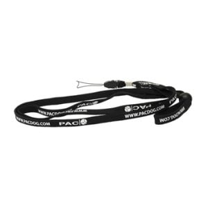 Lanyard