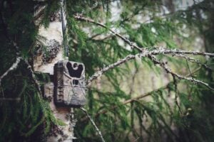 Trail Cameras